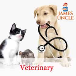 Veterinary doctor for animals and birds Dr. Ramiz Mondal in Baruipur
